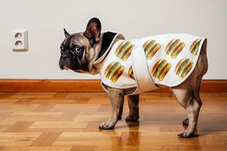 Dumb: McDonald’s Big Mac-Themed Clothing